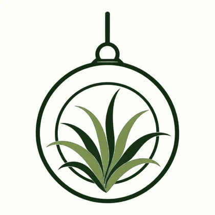 An air plant hanging in a glass globe