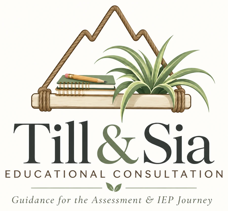 Till&Sia Educational Consultations: Guidance for the Assessment and IEP Journey